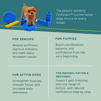 FitPaws&reg; FitKinect&trade;