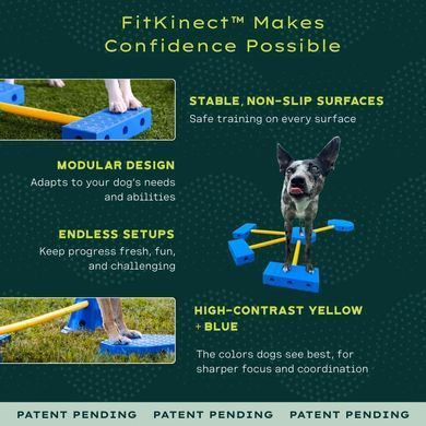 FitPaws&reg; FitKinect&trade;