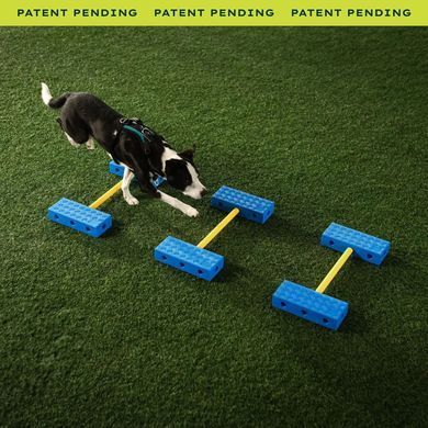 FitPaws&reg; FitKinect&trade;