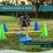 FitPaws&reg; FitKinect&trade;