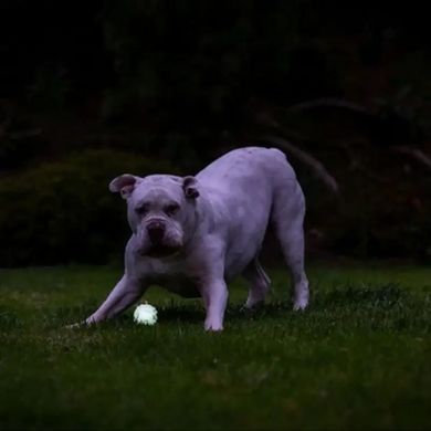 М'яч, що світиться в темряві Chuckit!&reg; Air&trade; Glow Fetch, ⌀ 5 см
