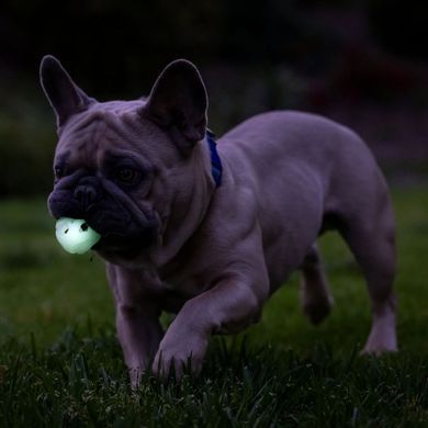 М'яч, що світиться в темряві Chuckit!&reg; Air&trade; Glow Fetch, ⌀ 5 см