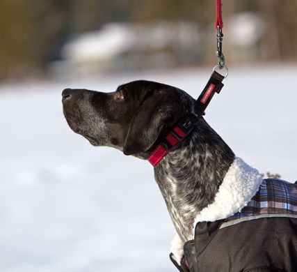 Ошейник-полуудавка EzyDog Checkmate, Blue, Medium