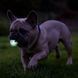 М'яч, що світиться в темряві Chuckit!&reg; Air&trade; Glow Fetch, ⌀ 5 см