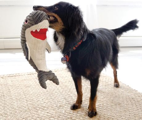 Мягкая игрушка KONG&reg; Cuteseas&trade; Rufflez Shark, Medium/Large