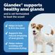 Добавка для здоровья анальных желез собаки Vetnique&reg; Glandex&reg; Anal Gland Health, 30 шт.