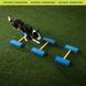 FitPaws&reg; FitKinect&trade; XTRA