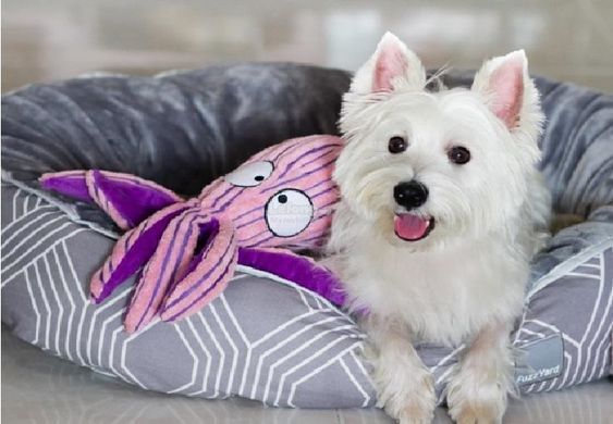 М'яка іграшка KONG&reg; Cuteseas&trade;, Large, Octopus