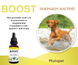 Натуральна добавка для відновлення Phytopet&reg; Boost 30 мл
