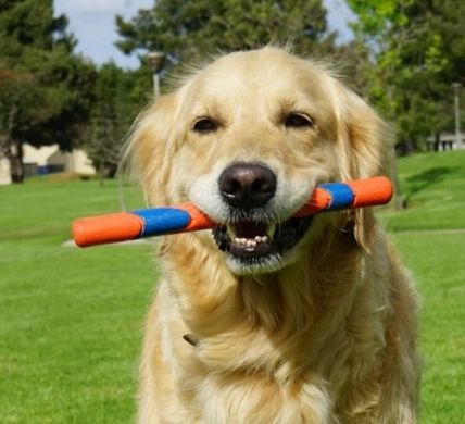 Іграшка Chuckit!® Ultra Fetch Stick