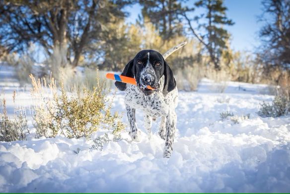 Іграшка Chuckit!® Ultra Fetch Stick