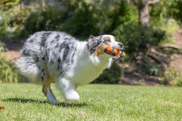 Іграшка Chuckit!® Ultra Fetch Stick