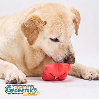 Интерактивная игрушка-кормушка Chewtastic Geometrics Geo-Metz Roller
