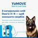 Добавка для устранения зуда YuMOVE Skin & Coat Care Itching, 500 мл