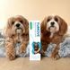 Добавка для устранения зуда YuMOVE Skin & Coat Care Itching, 500 мл