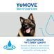 Добавка для устранения зуда YuMOVE Skin & Coat Care Itching, 500 мл