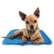 Охолоджуючий килимок Cool Pet Pad, 30 см х 40 см