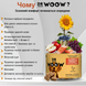 Натуральная добавка для повышения иммунитета и устранения аллергии Dr Woow Allergy & Immunity 90 шт.