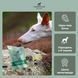 Оленьи колбаски с измельченным яблоком The Innocent Hound (7 шт.)