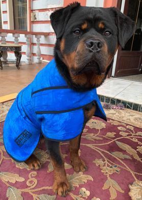 Охлаждающая попона Easidri, Large